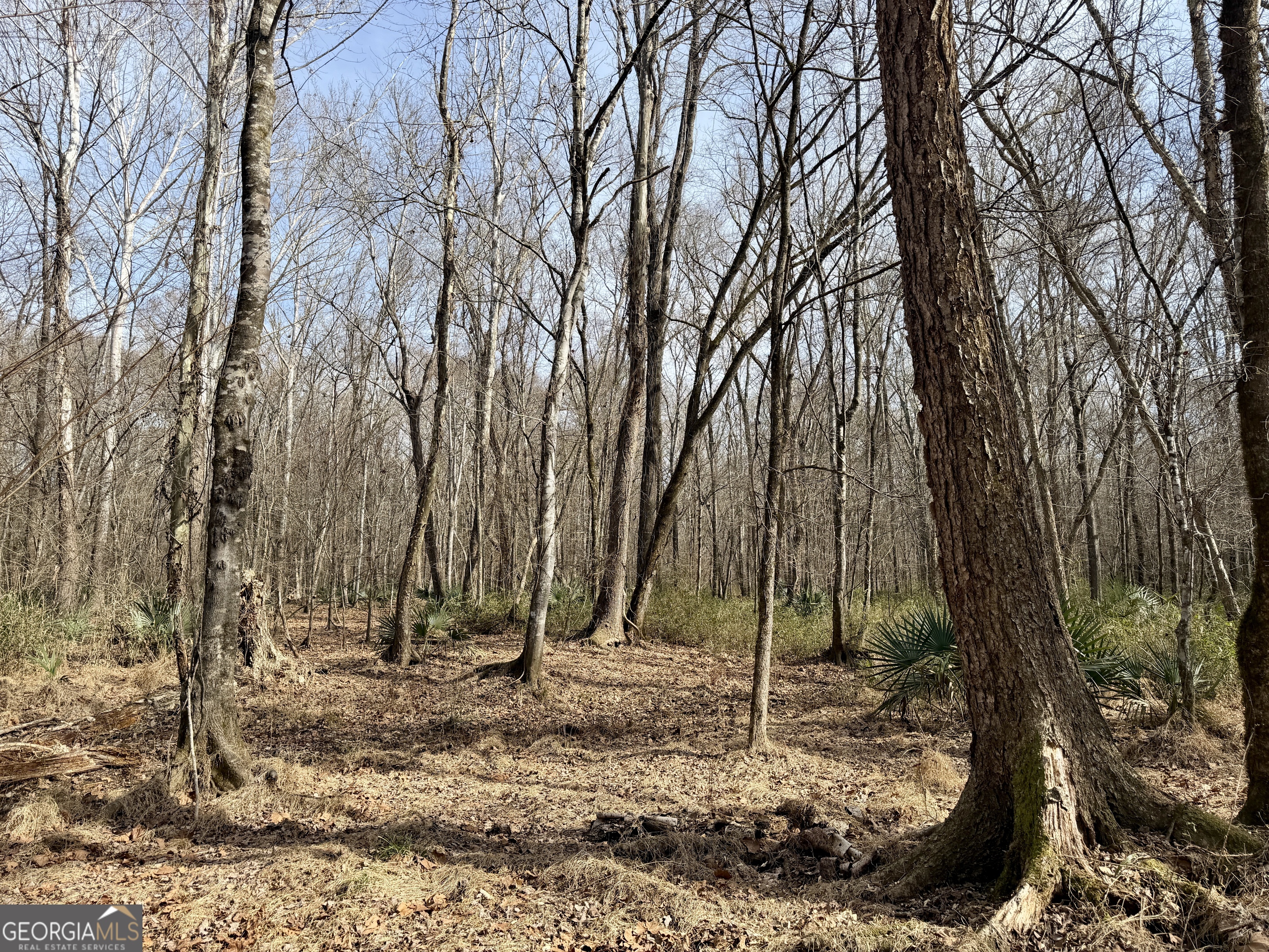 1888 Us 23 Cochran, GA 31014 - Photo 84 of 107