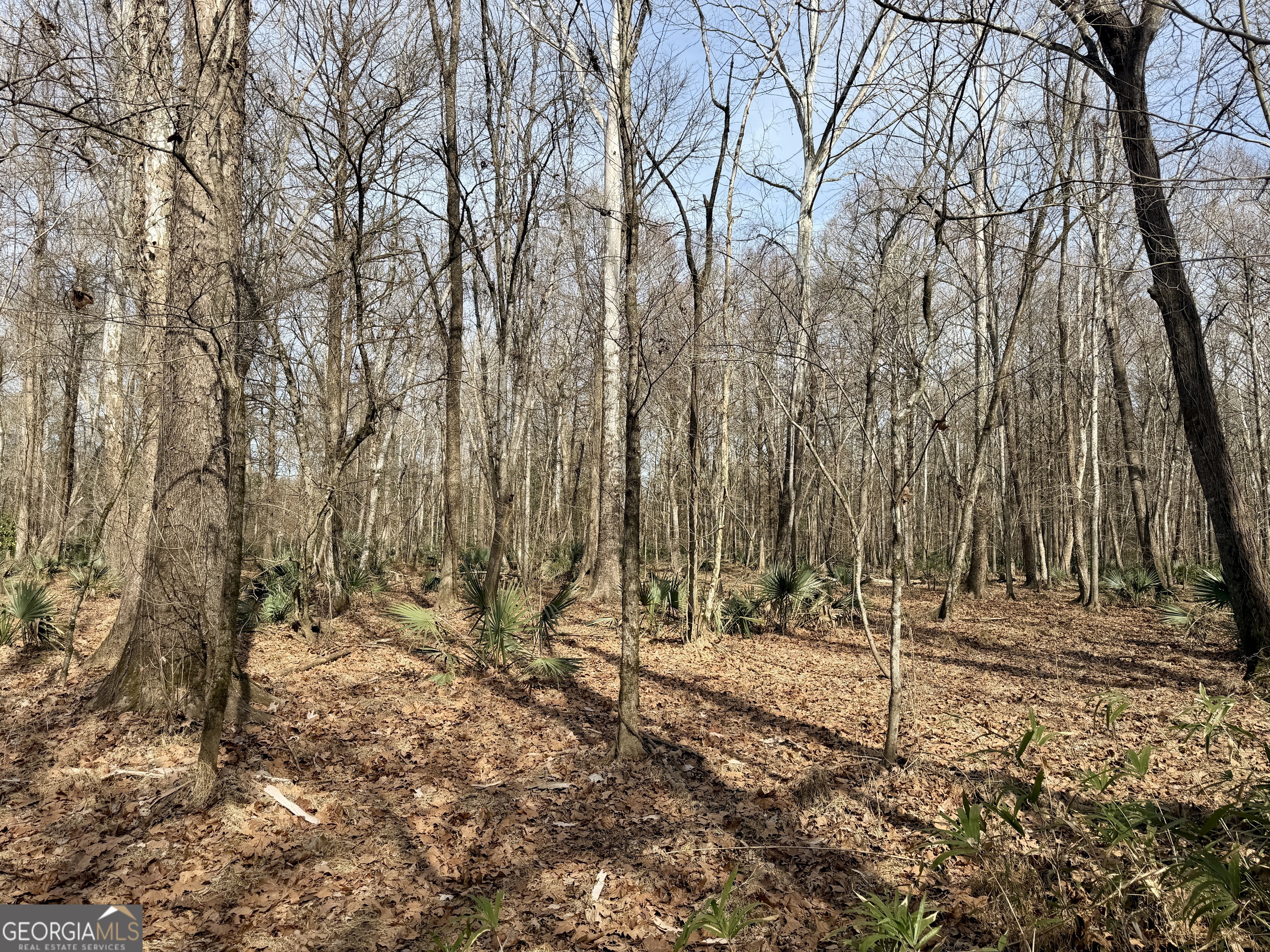 1888 Us 23 Cochran, GA 31014 - Photo 85 of 107