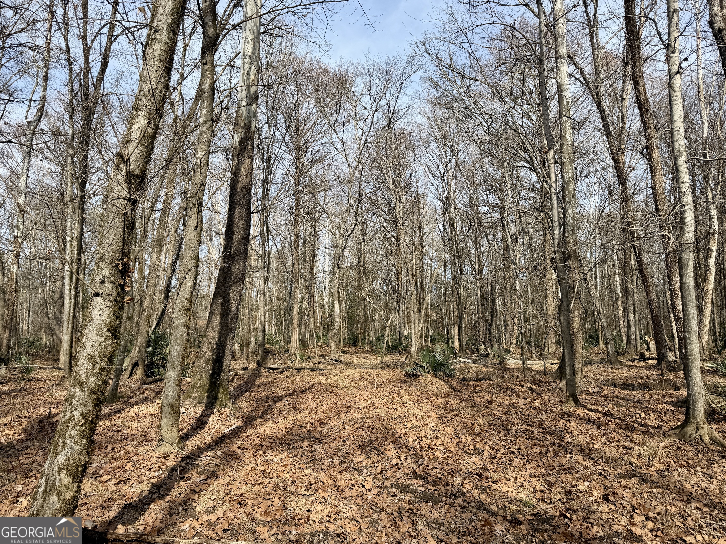 1888 Us 23 Cochran, GA 31014 - Photo 86 of 107