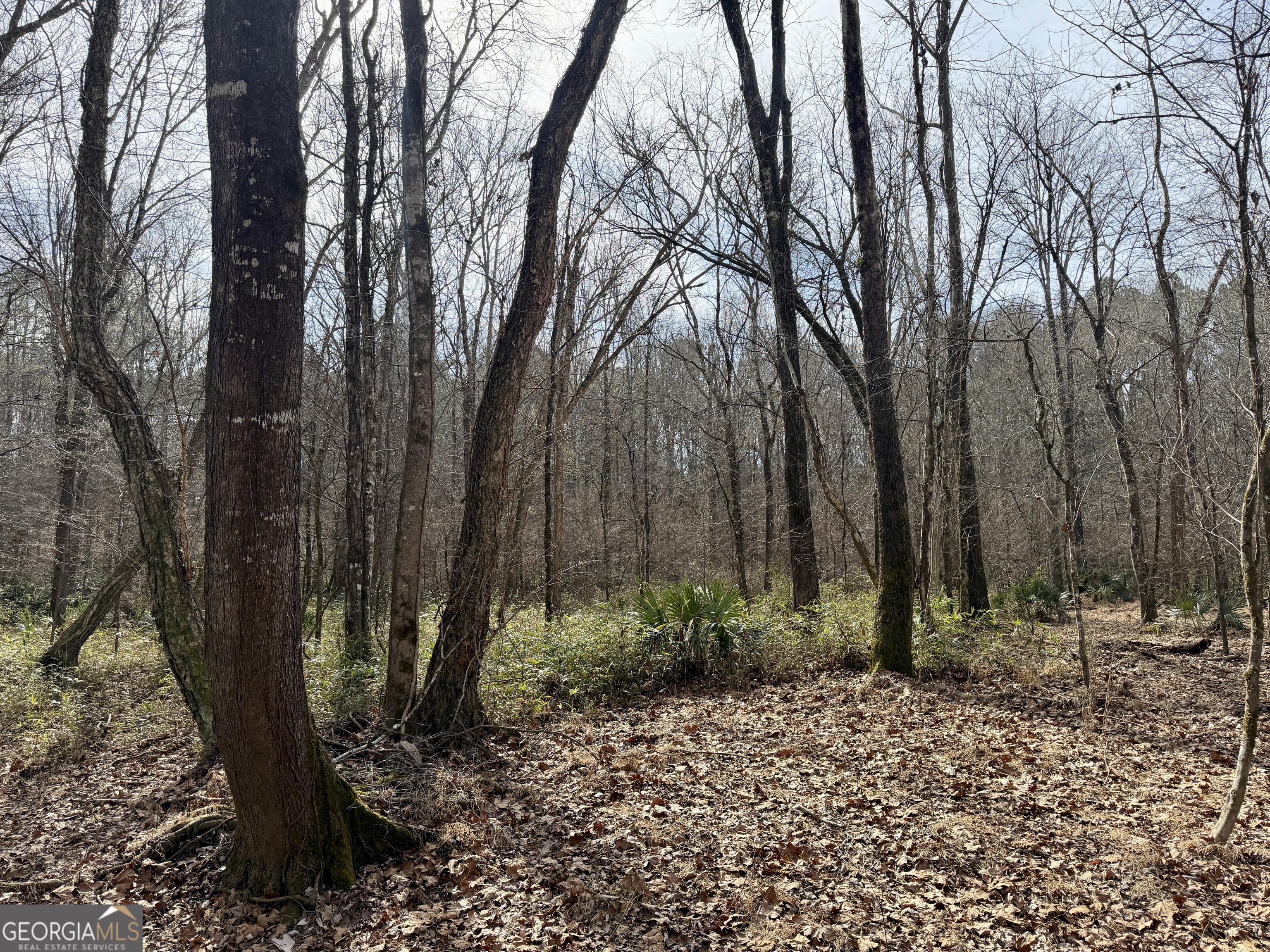 1888 Us 23 Cochran, GA 31014 - Photo 87 of 107