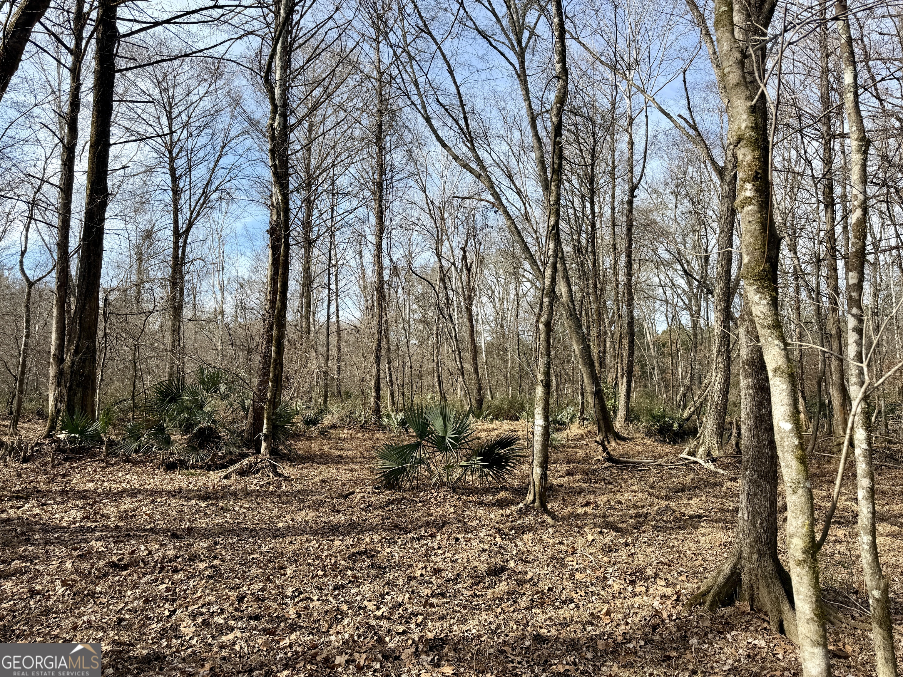 1888 Us 23 Cochran, GA 31014 - Photo 88 of 107