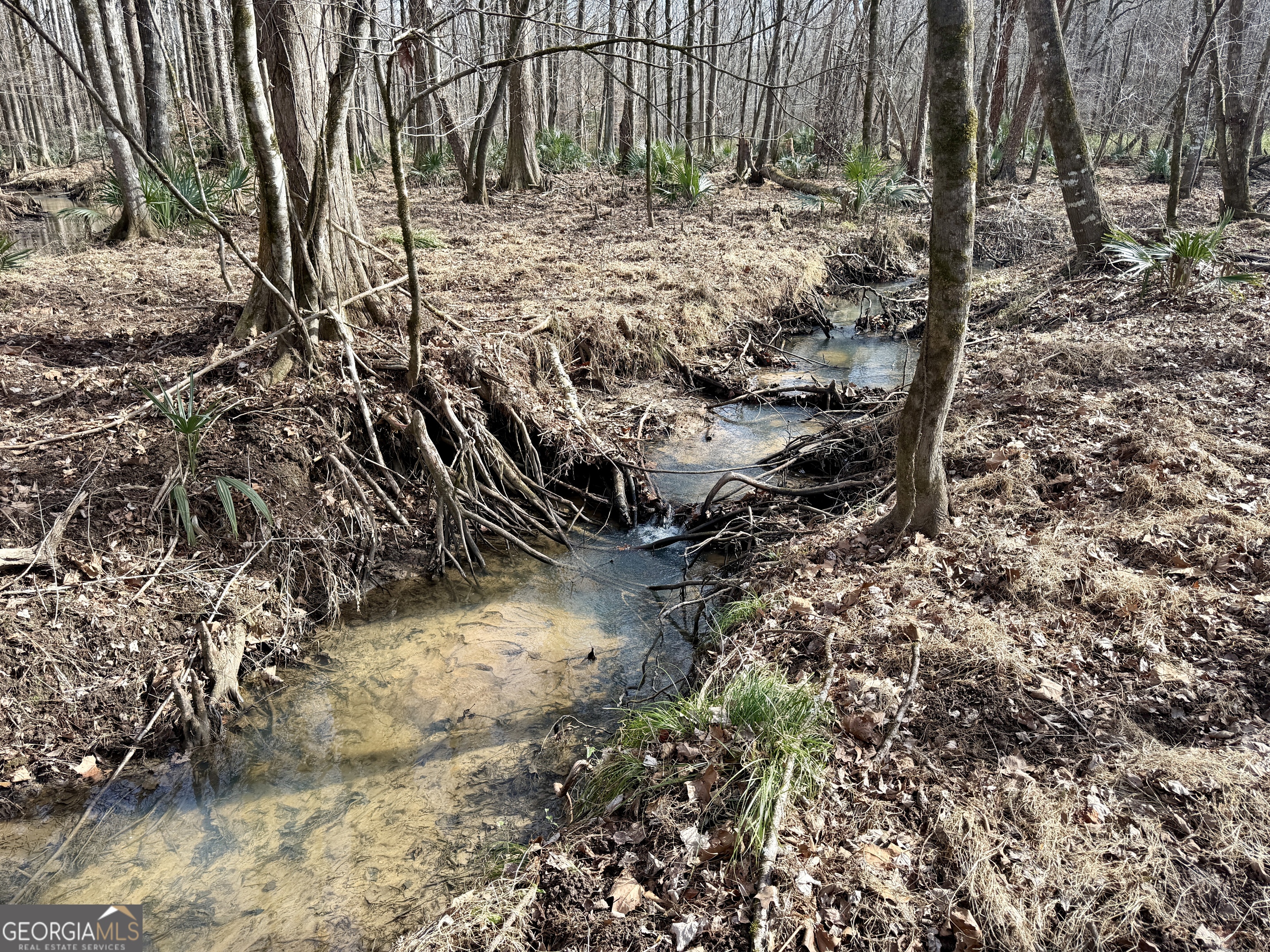 1888 Us 23 Cochran, GA 31014 - Photo 90 of 107