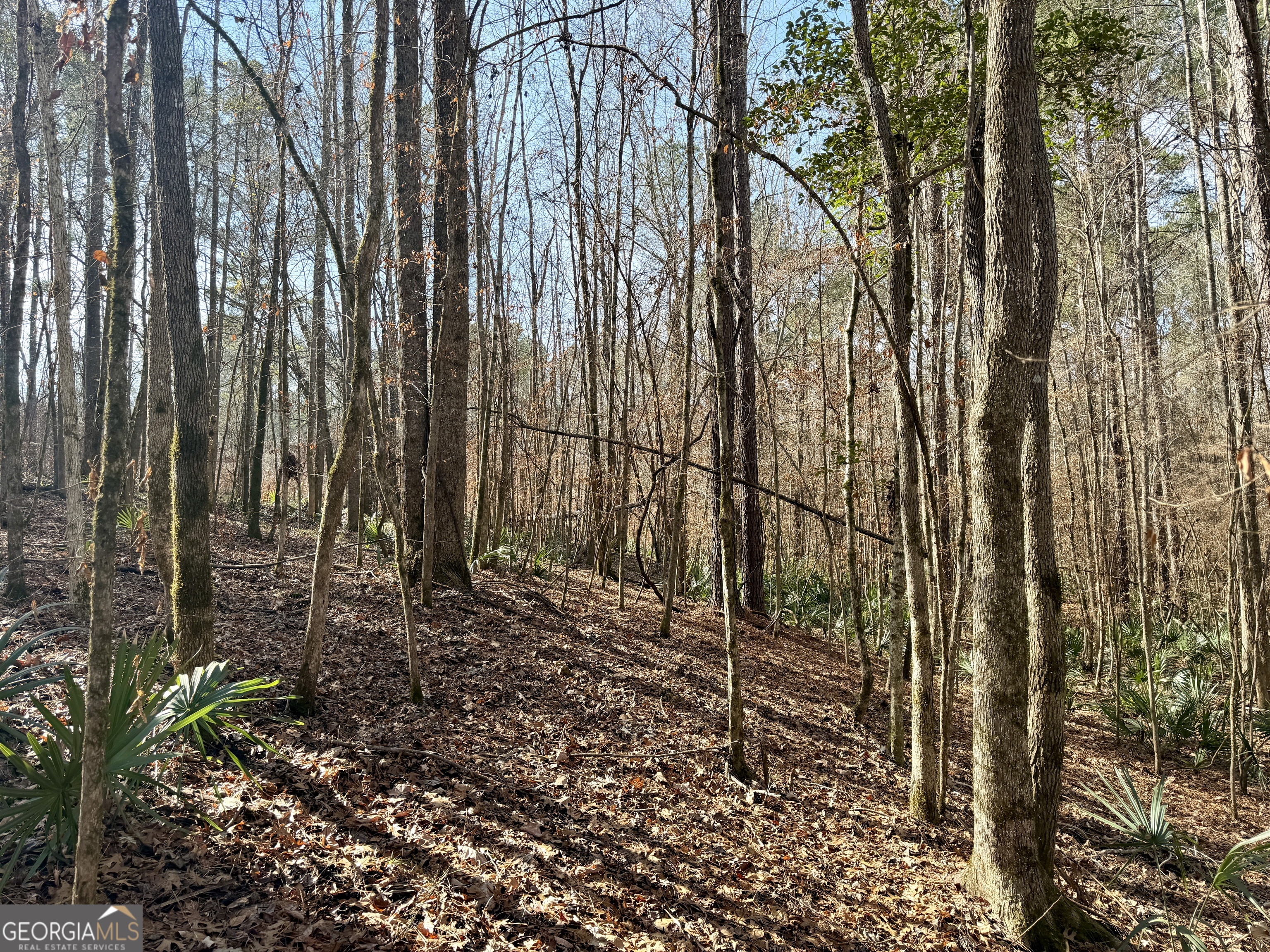 1888 Us 23 Cochran, GA 31014 - Photo 93 of 107