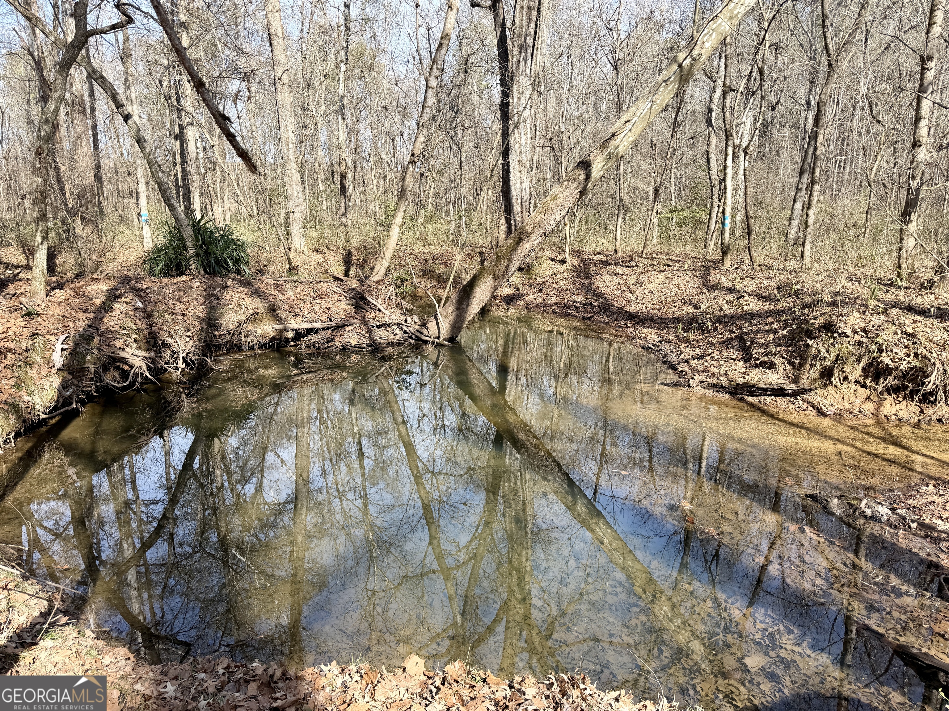 1888 Us 23 Cochran, GA 31014 - Photo 95 of 107