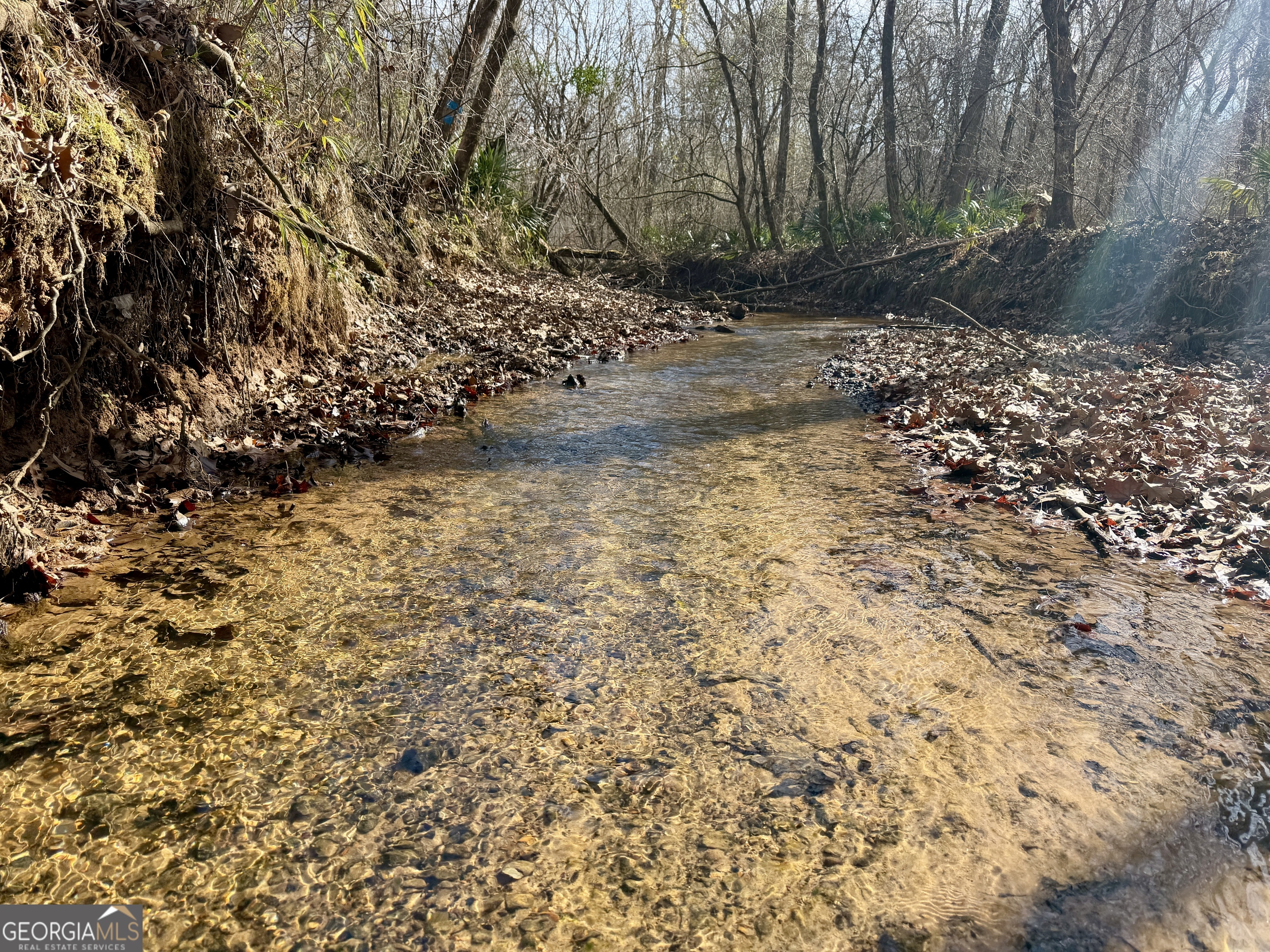 1888 Us 23 Cochran, GA 31014 - Photo 96 of 107