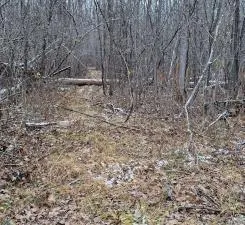 $100,000 | 15057 Canyon Way, Pine City, MN 55063