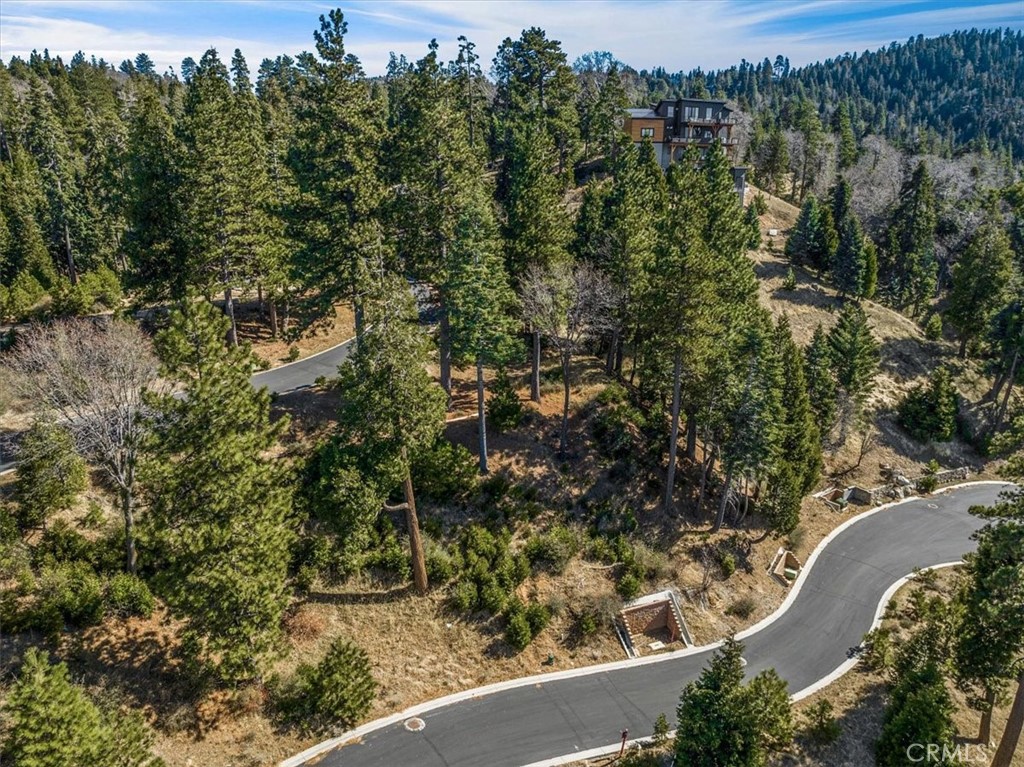 109 Mill Pond Road Lake Arrowhead, CA 92352 - Photo 16 of 43