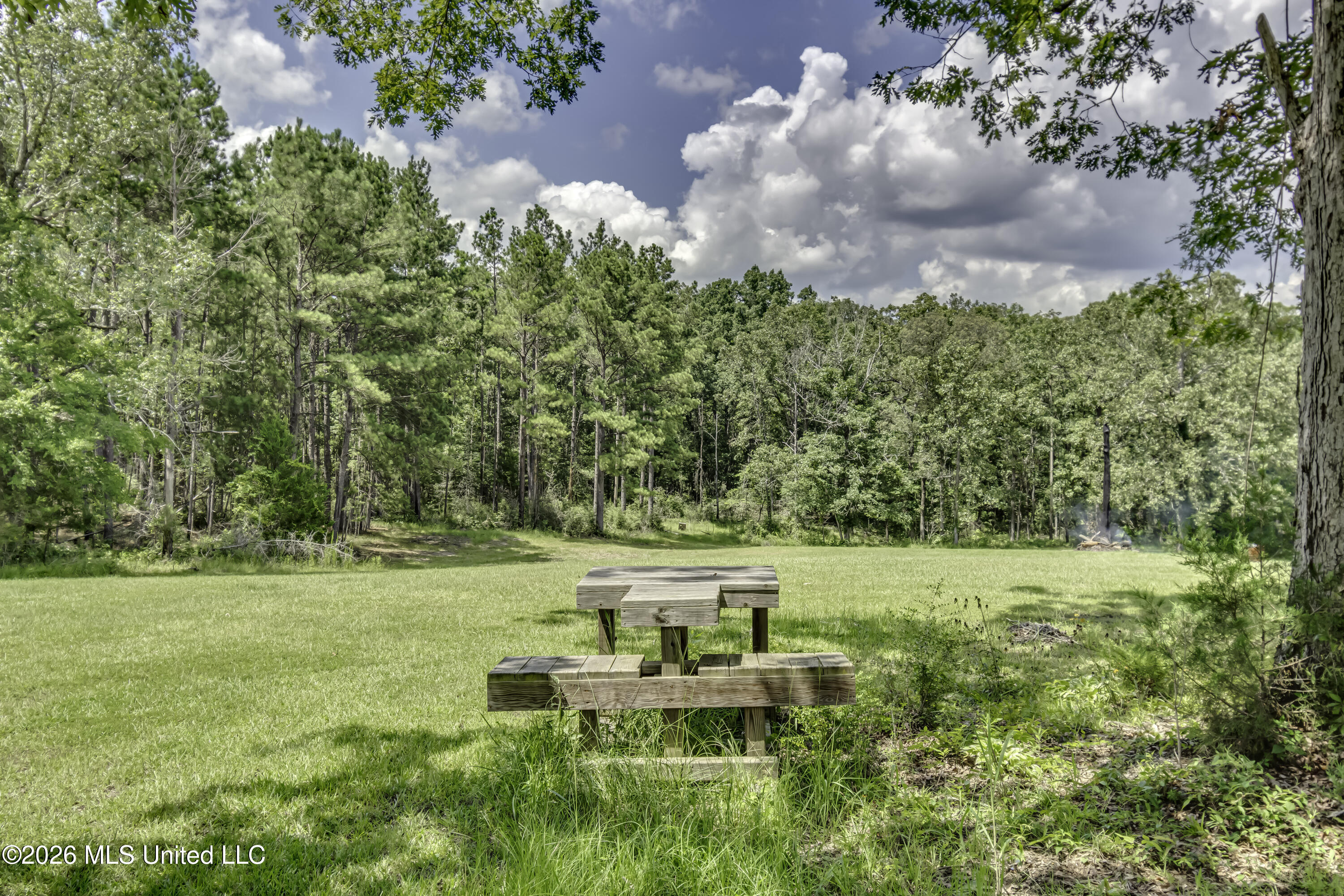 486 Holifield Circle Brandon, MS 39042 - Photo 71 of 93 486 Holifield Cir--21