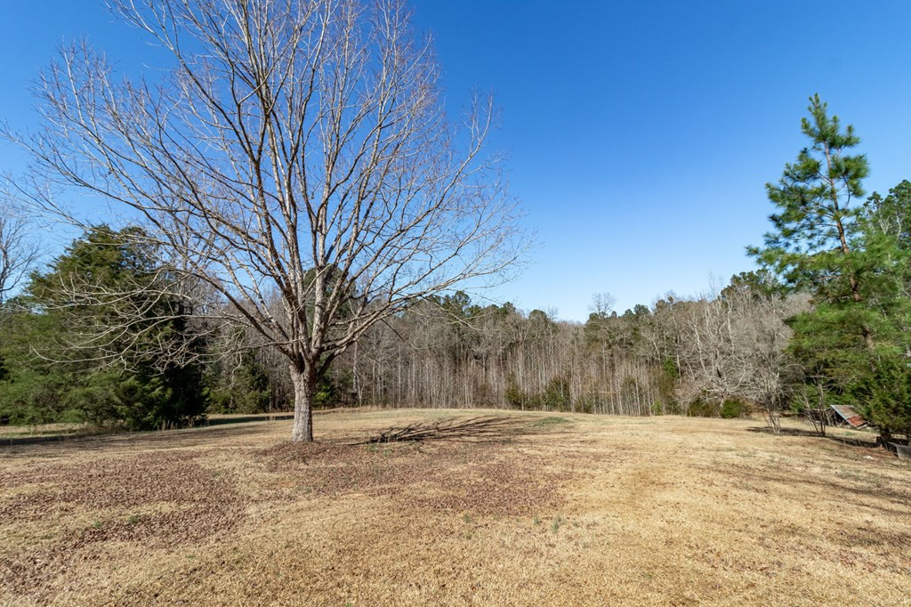 1621 Swint Road Harlem, GA 30814 - Photo 54 of 71