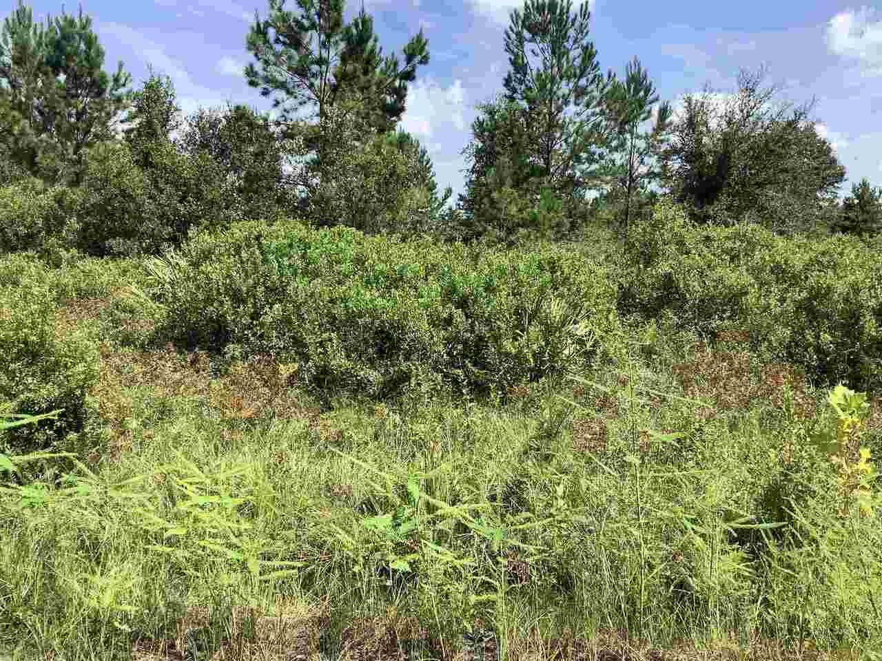 0 Old Post Road, Unit LOT 32 White Oak, GA 31568 - Photo 1 of 1 an aerial view of residential house with outdoor space and trees all around
