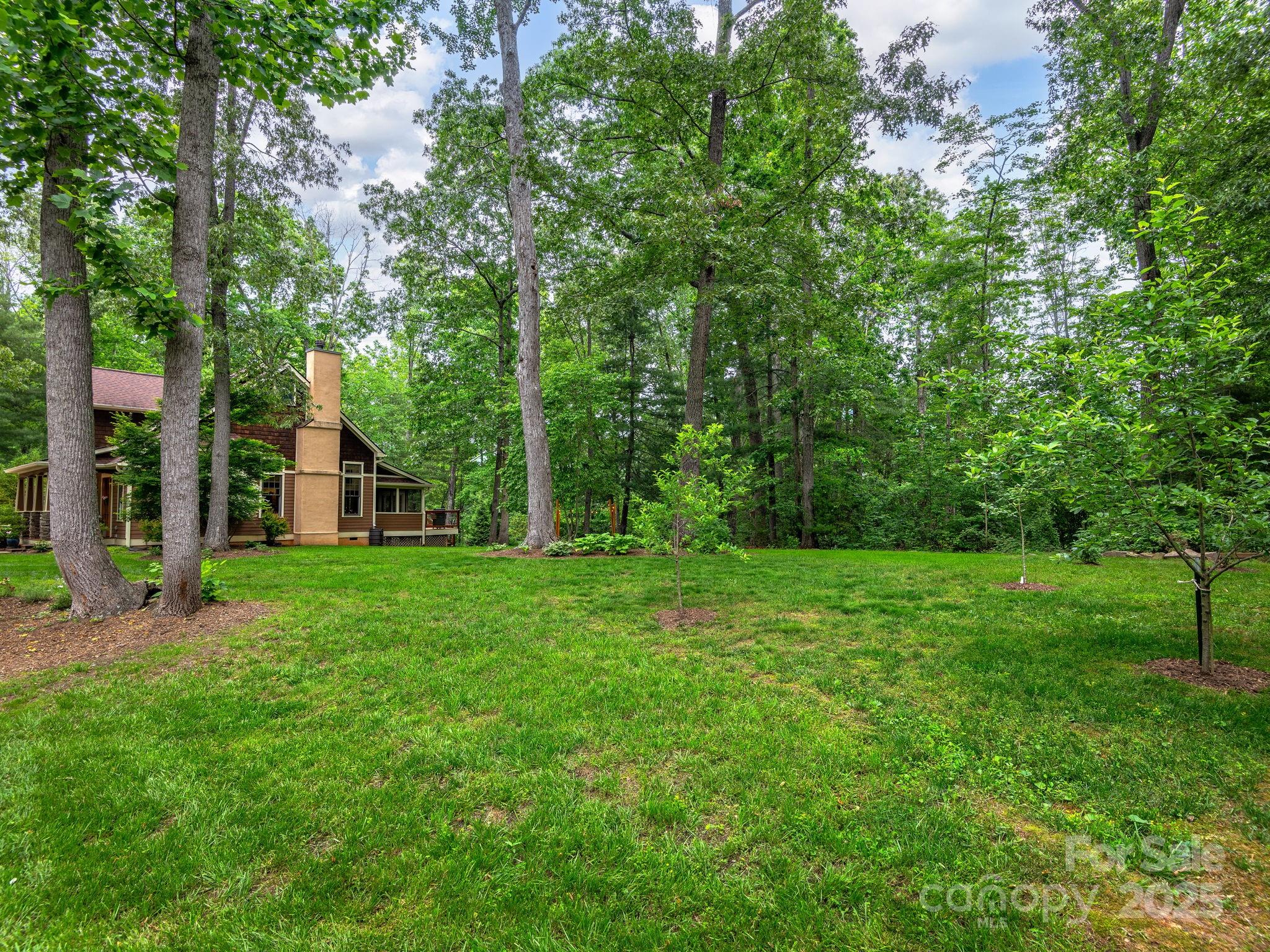 15 Avondale Road Asheville, NC 28803 - Photo 44 of 48 a view of a back yard