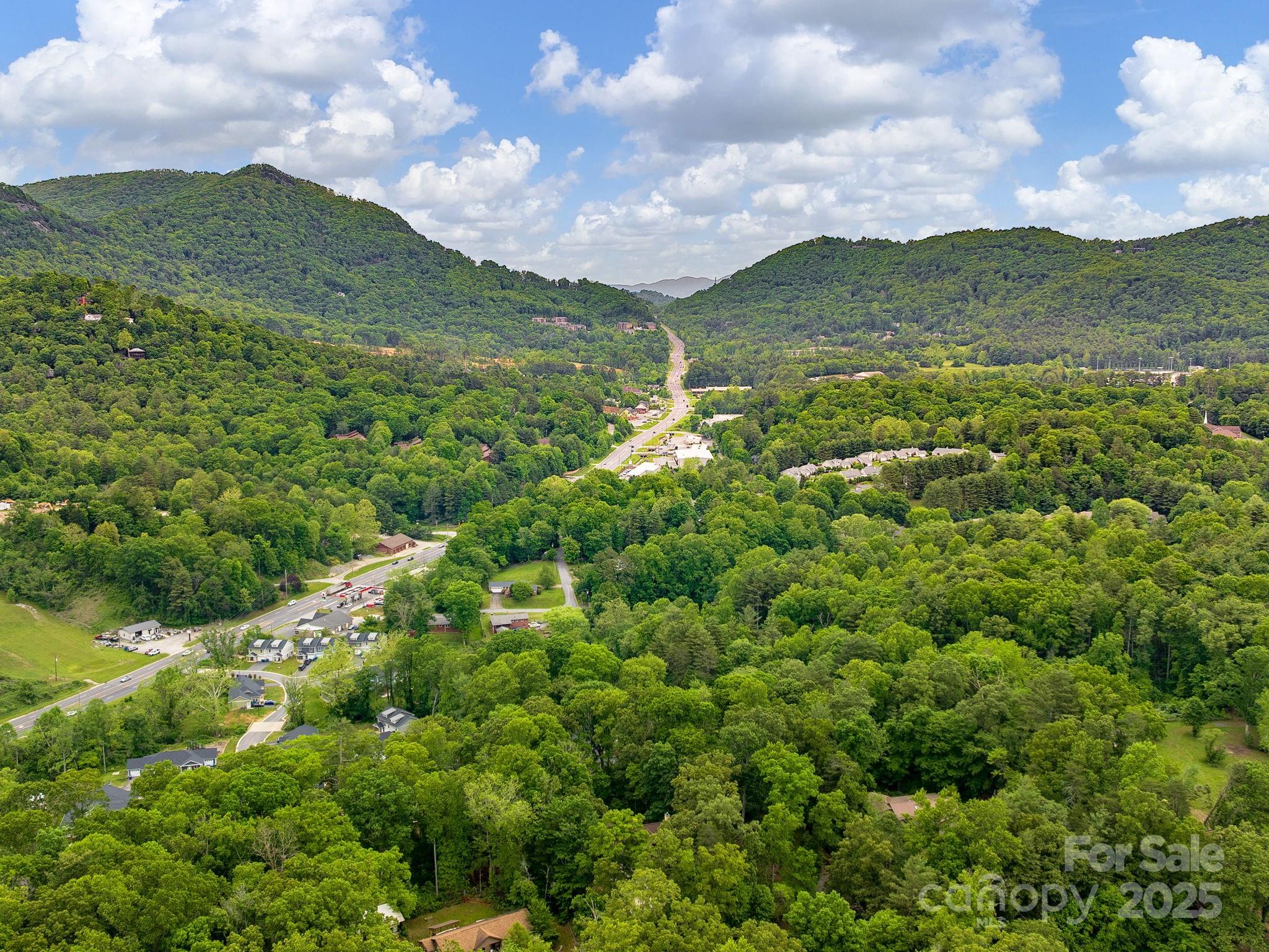 15 Avondale Road Asheville, NC 28803 - Photo 45 of 48 a view of a lush green forest with houses
