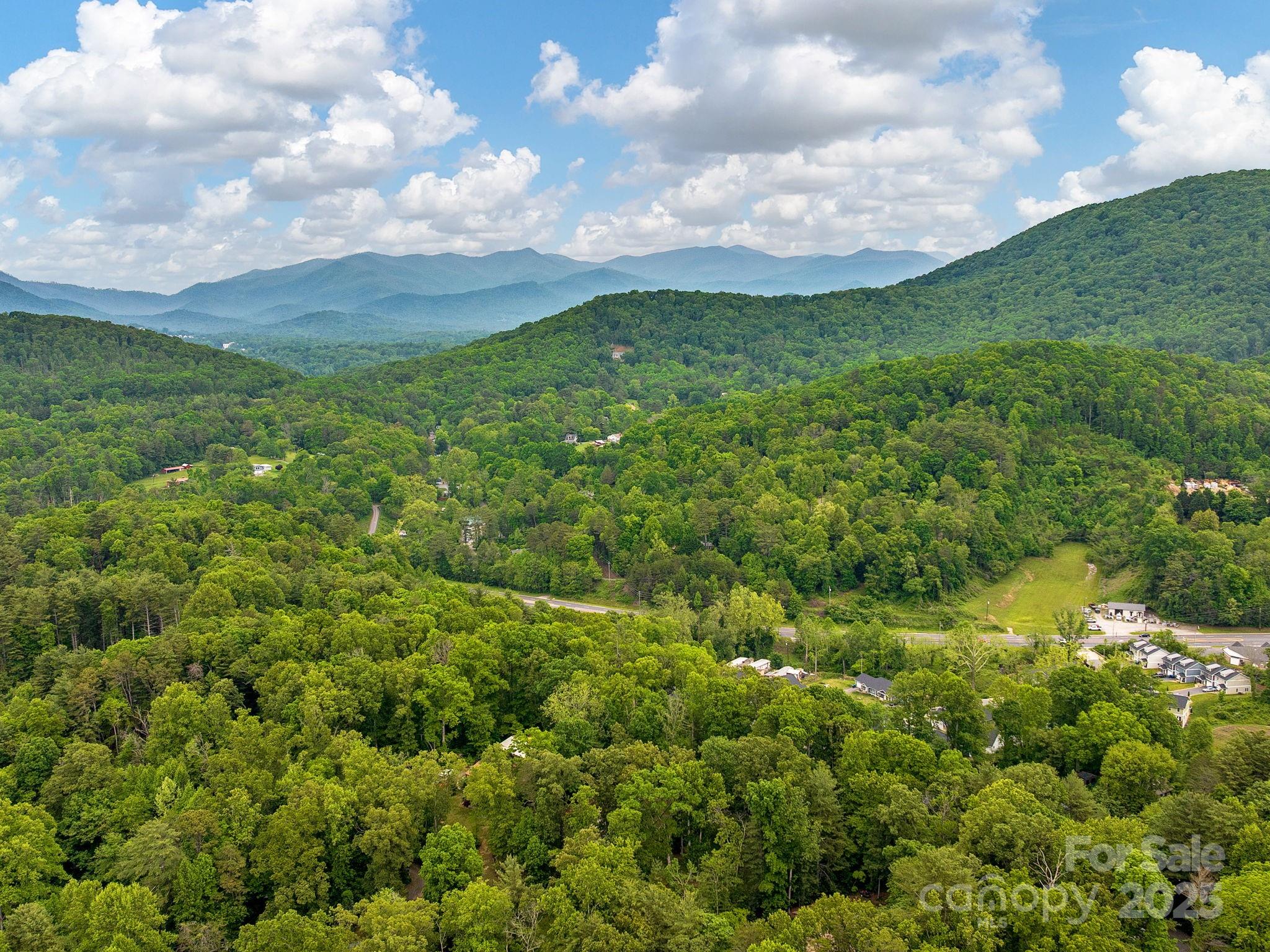 15 Avondale Road Asheville, NC 28803 - Photo 46 of 48 a view of a city and green space