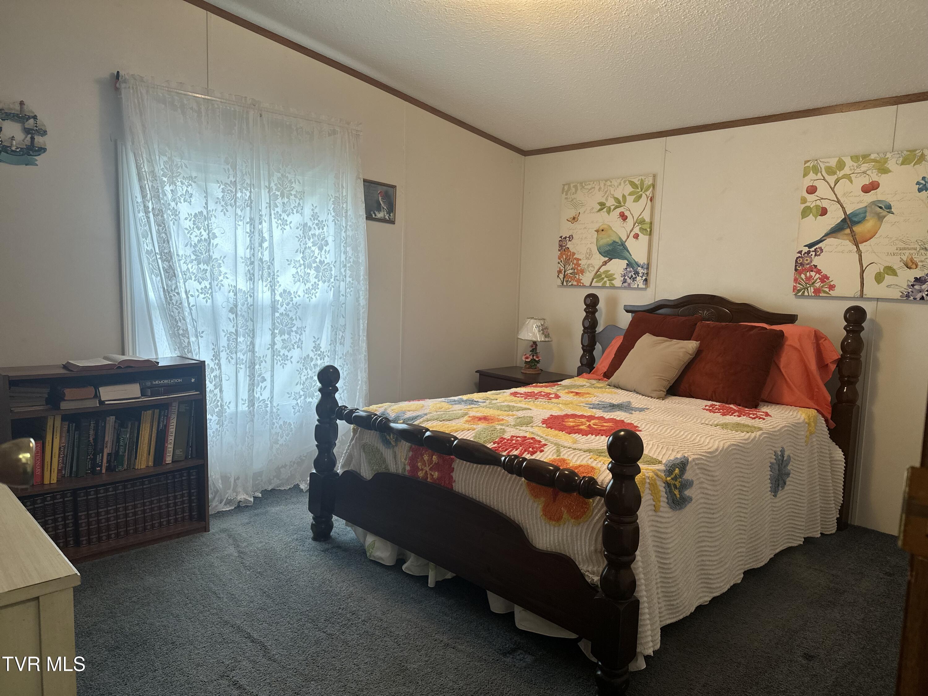 3289 Long Creek Road Parrottsville, TN 37843 - Photo 21 of 36 IMG_4949