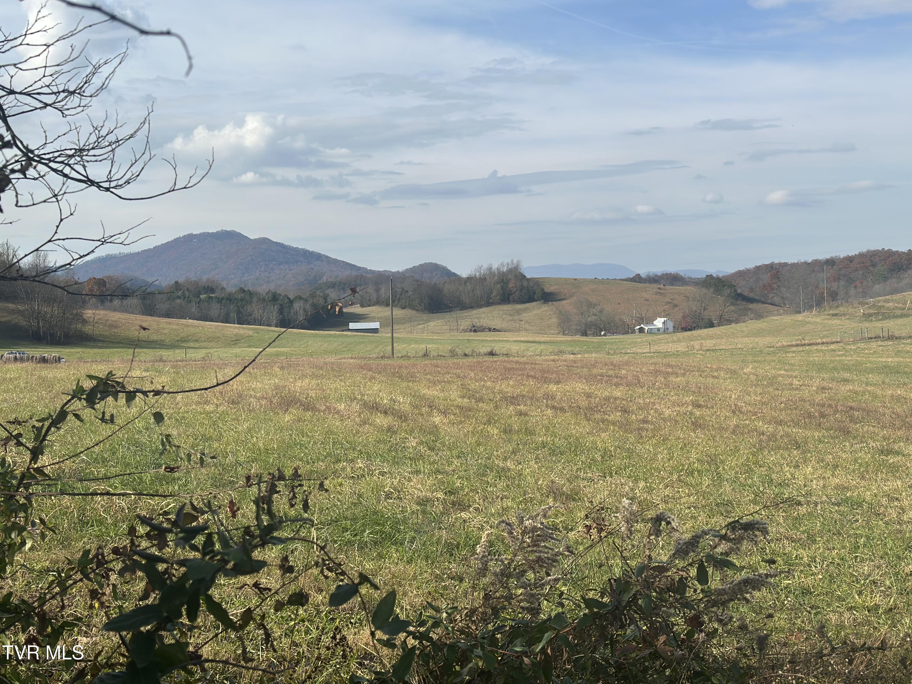 3289 Long Creek Road Parrottsville, TN 37843 - Photo 26 of 36 IMG_4514