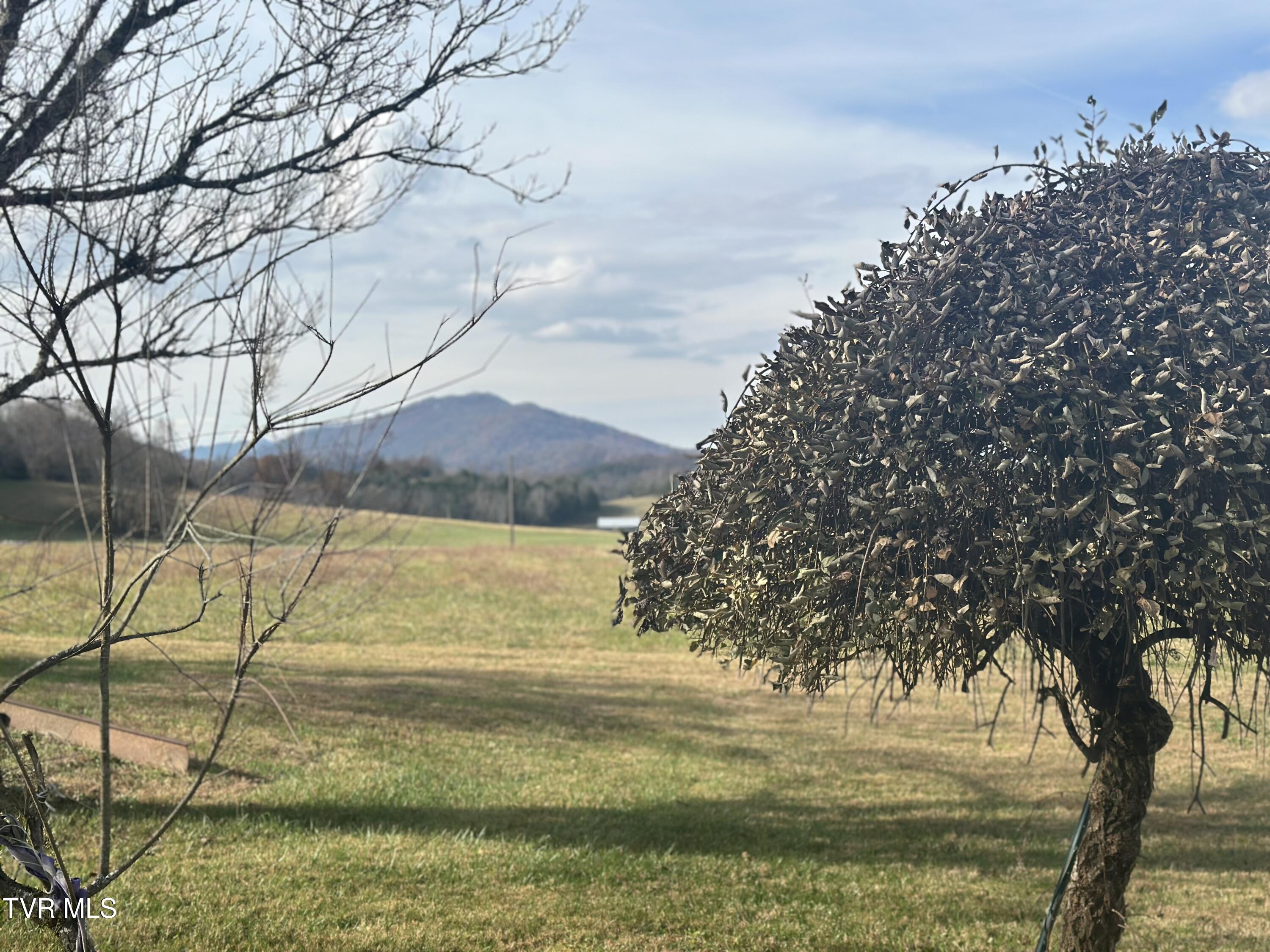 3289 Long Creek Road Parrottsville, TN 37843 - Photo 33 of 36 IMG_4513
