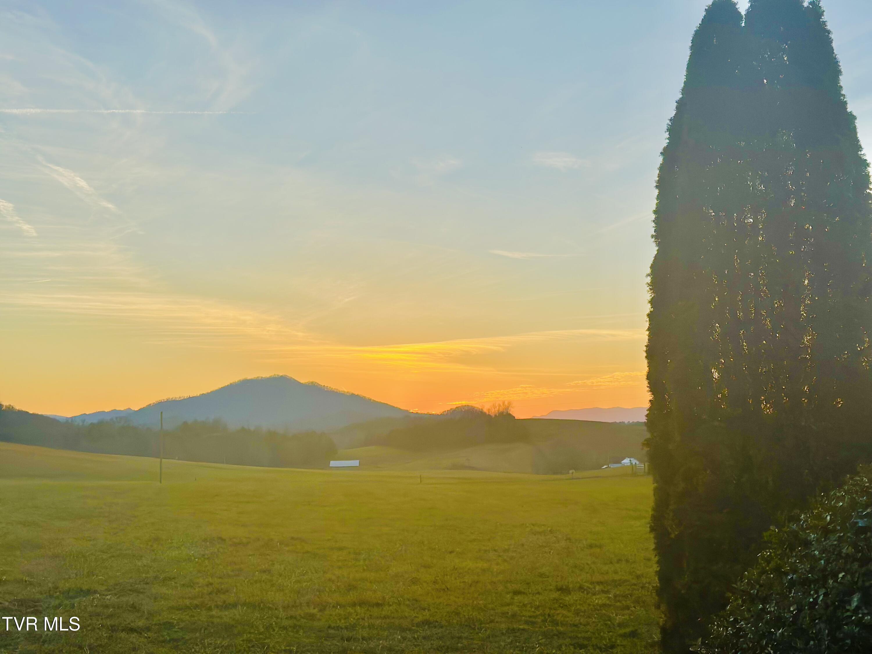 3289 Long Creek Road Parrottsville, TN 37843 - Photo 4 of 36 IMG_5169