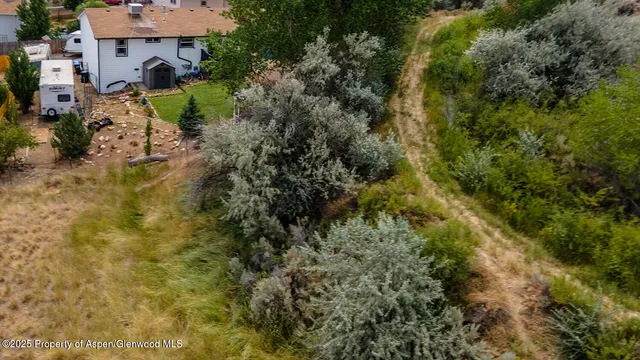 a view of a town with plants and large trees