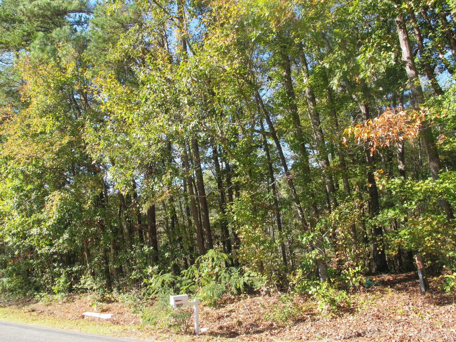 1945 Putnam Glendon Road Carthage, NC 28327 - Photo 2 of 6 IMG_6328