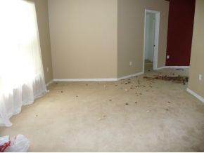 6790 Bryant Road Cocoa, FL 32927 - Photo 2 of 6 Additional Photo