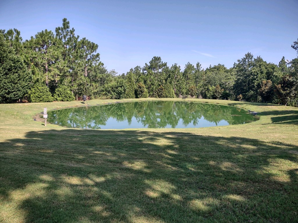885 Mauk Road Mauk, GA 31058 - Photo 15 of 35