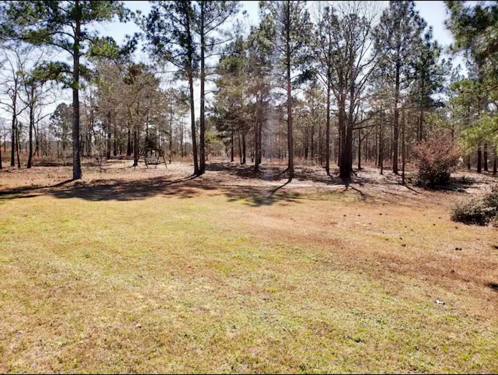885 Mauk Road Mauk, GA 31058 - Photo 22 of 35