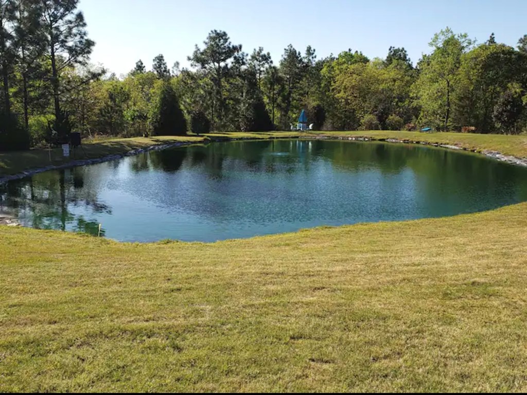 885 Mauk Road Mauk, GA 31058 - Photo 24 of 35