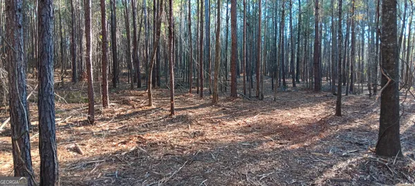 a view of backyard with trees