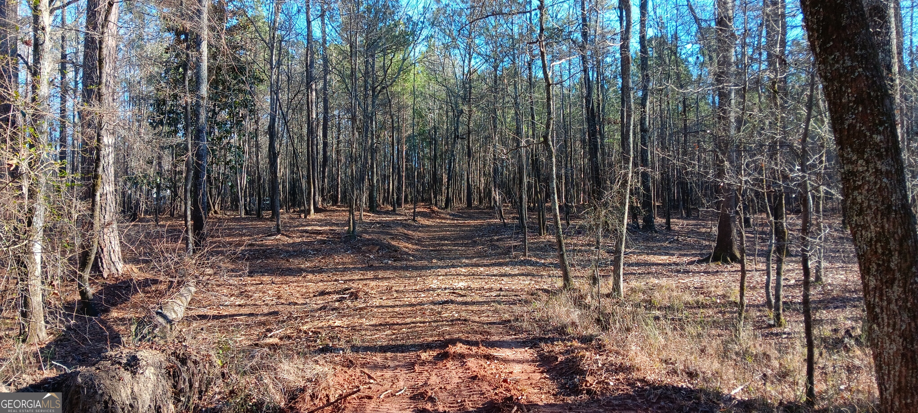 0 Cedardale Drive Griffin, GA 30224 - Photo 5 of 14 a view of outdoor space with trees