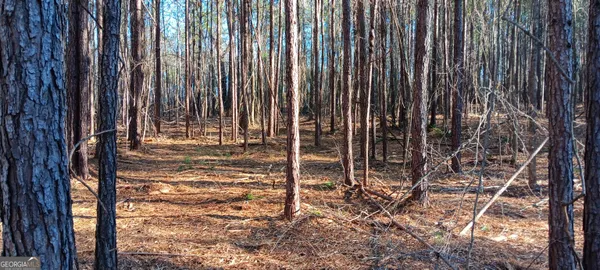 a view of outdoor space with wooden fence