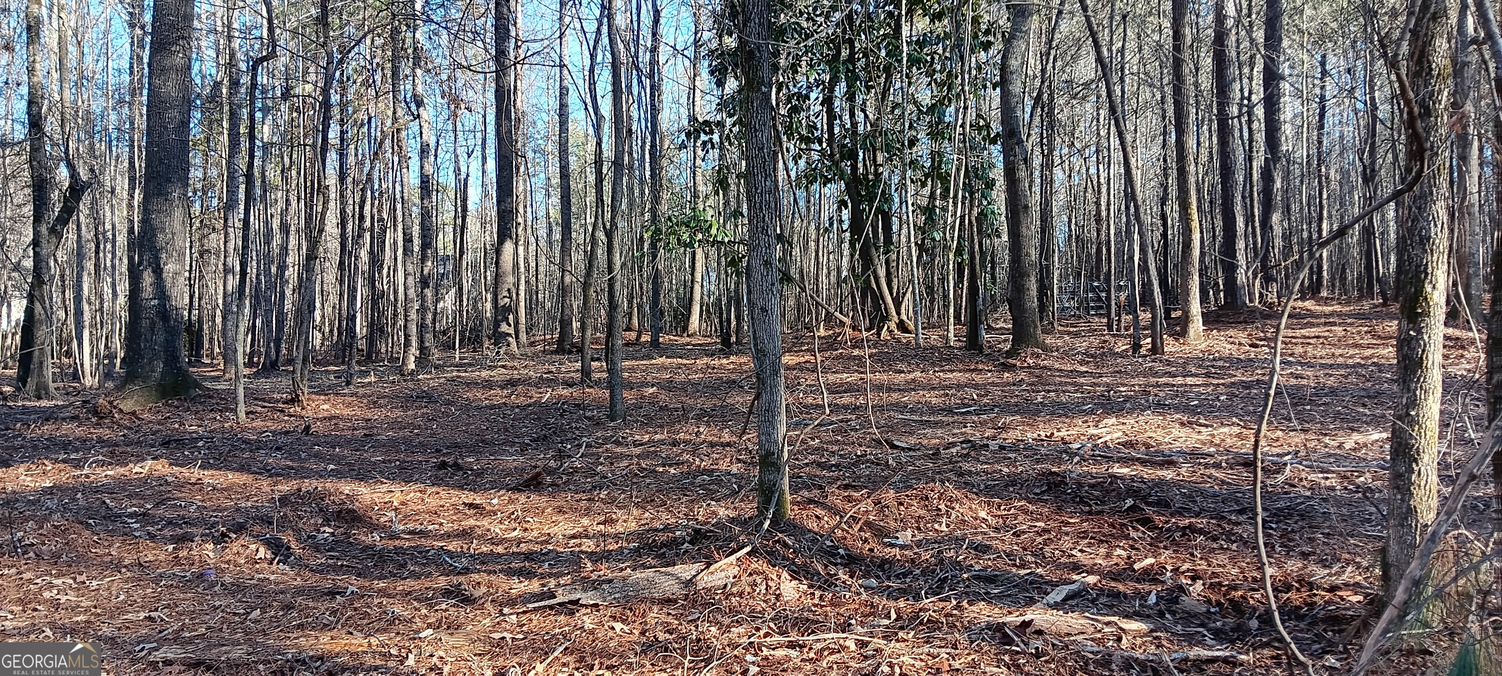 0 Cedardale Drive Griffin, GA 30224 - Photo 8 of 14 a view of outdoor space with wooden fence