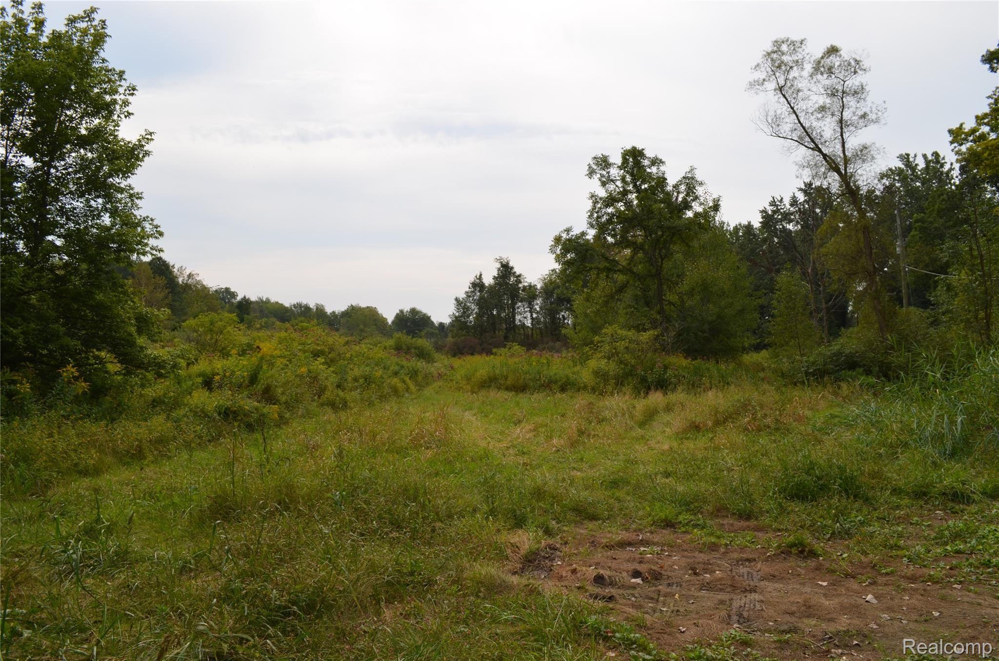 5036 Bullard Road Fenton, MI 48430 - Photo 56 of 62 DSC_0091.JPG