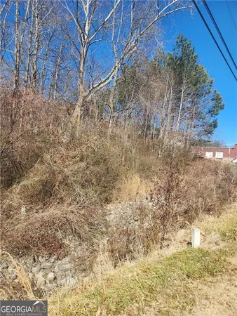 a view of a yard