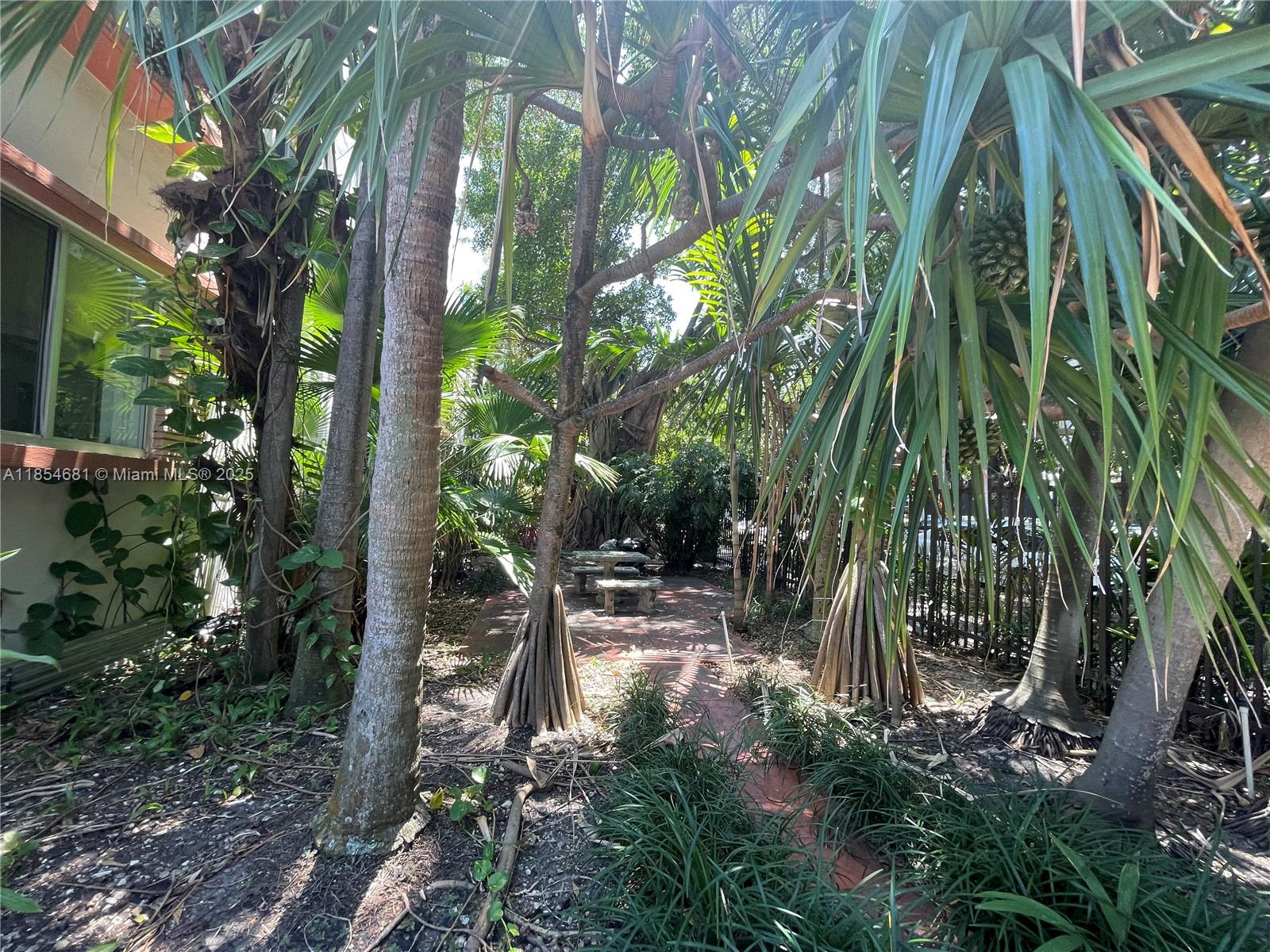 730 12th Street, Unit 10 Miami Beach, FL 33139 - Photo 12 of 12 a view of yard