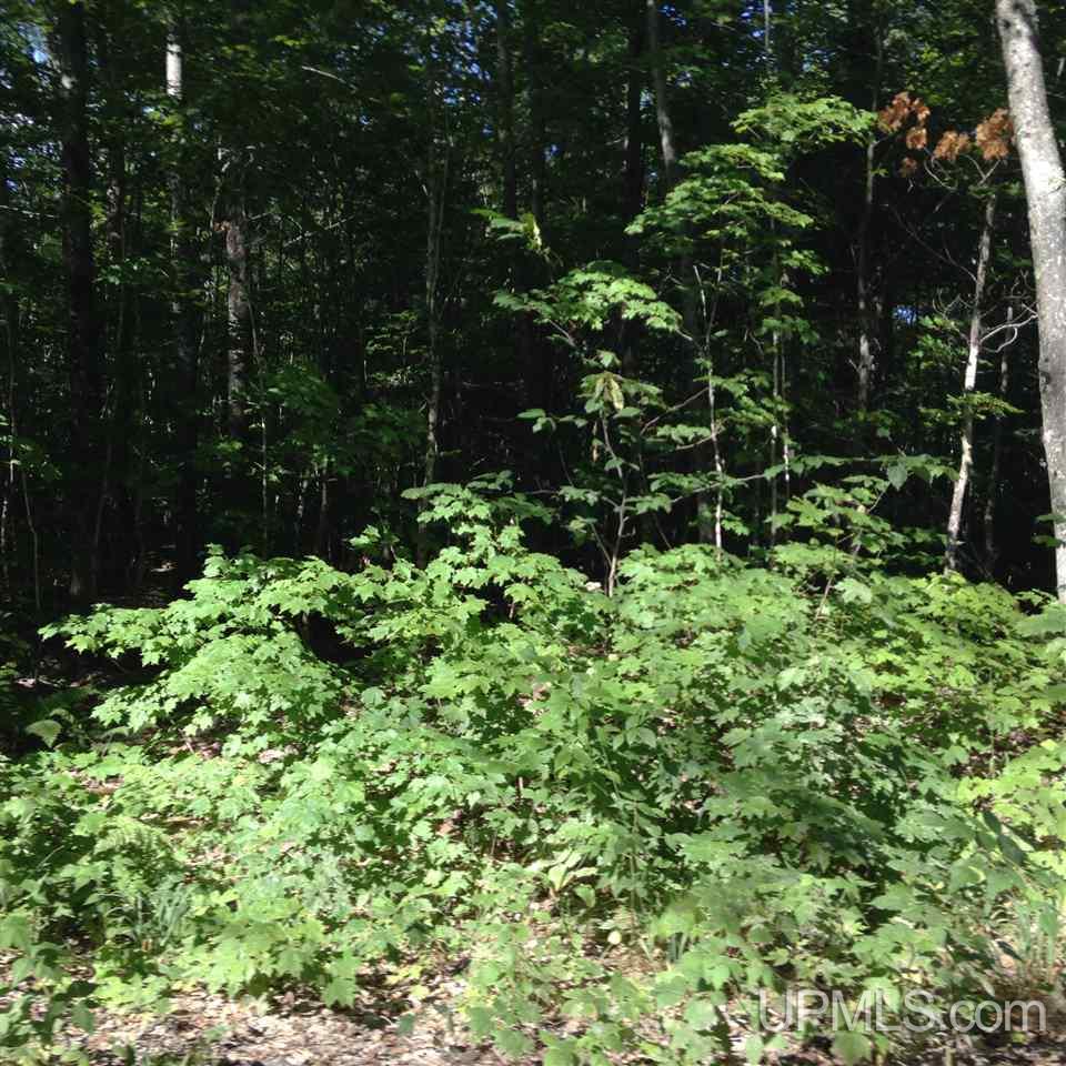 N9703 South Ross Lake Road Shingleton, MI 49884 - Photo 6 of 8