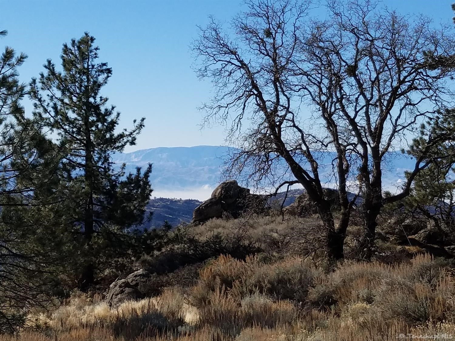 0 Stirrup Way Tehachapi, CA 93561 - Photo 6 of 16 Gallery Image 6
