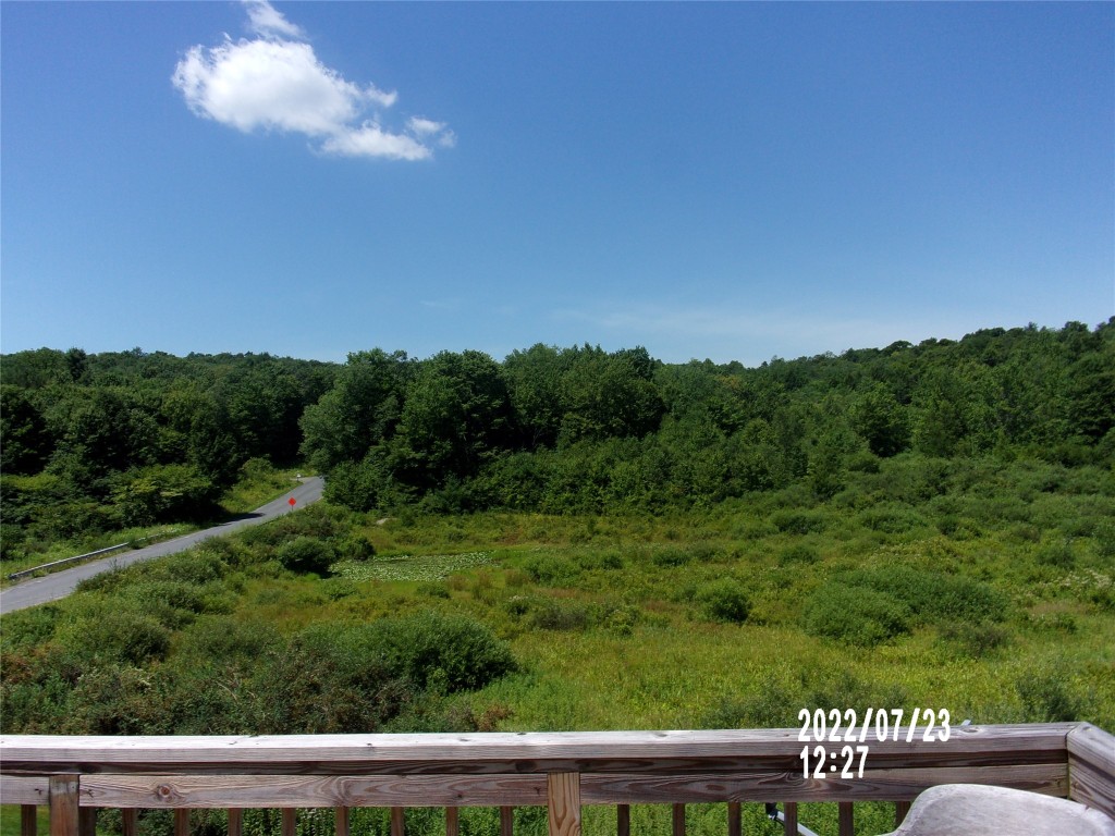 594 Shaver Hill Road Deposit, NY 13754 - Photo 27 of 37 Gallery Image 27