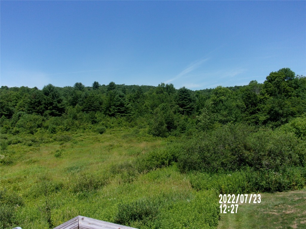 594 Shaver Hill Road Deposit, NY 13754 - Photo 28 of 37 Gallery Image 28