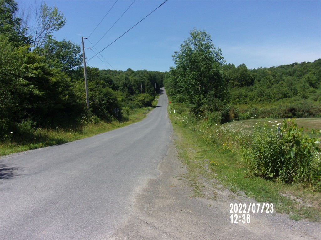 594 Shaver Hill Road Deposit, NY 13754 - Photo 36 of 37 Gallery Image 36