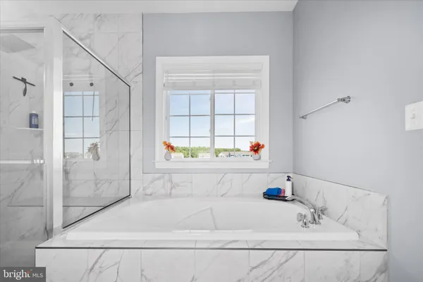 a bathroom with a bathtub and a shower