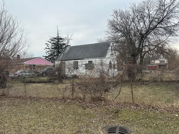a outdoor space with lots of tall trees