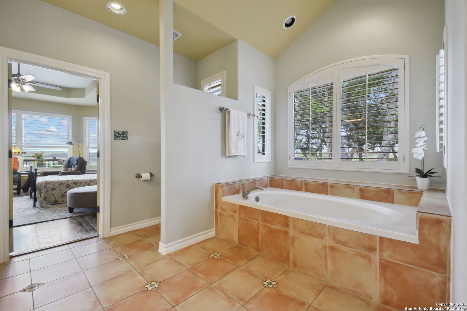 6527 Preakness Pass Bulverde, TX 78163 - Photo 18 of 22 a spacious bathroom with a tub a potted plant and a large window