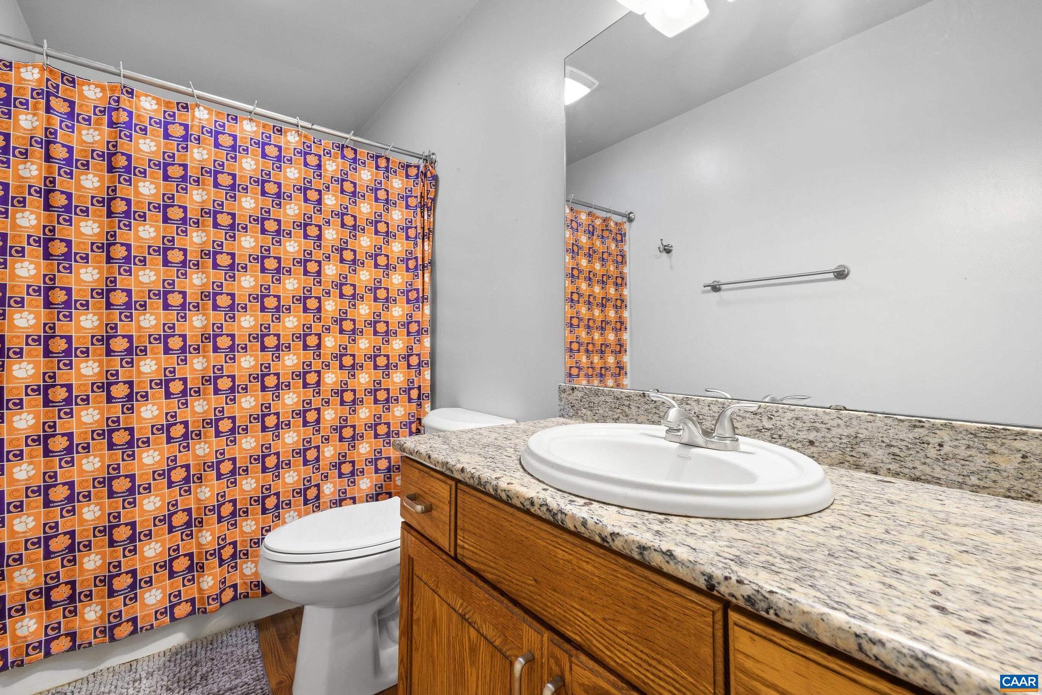 5393 Amicus Road Ruckersville, VA 22968 - Photo 41 of 74