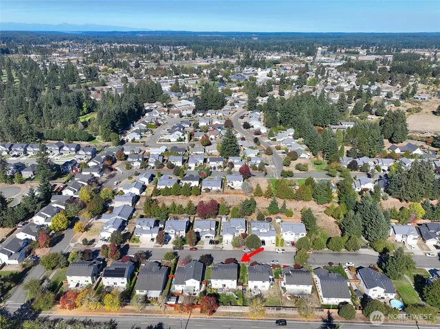 a view of a park with large trees