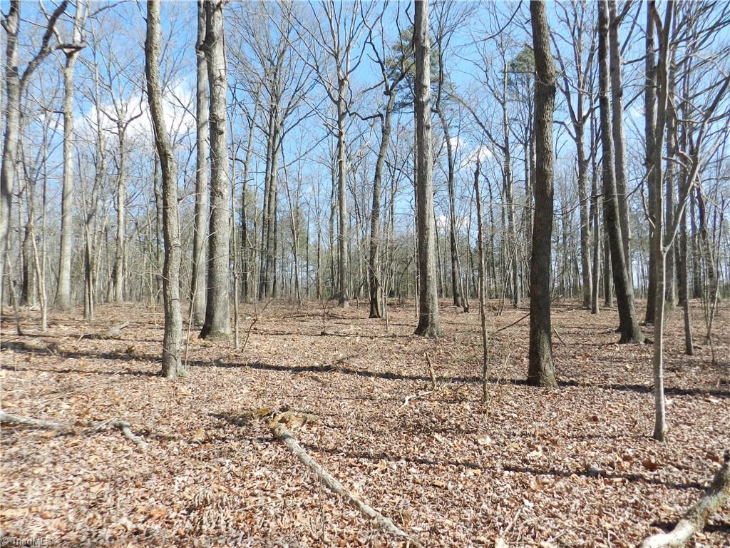 0 Regan Road Lexington, NC 27292 - Photo 12 of 16 Gallery Image 12