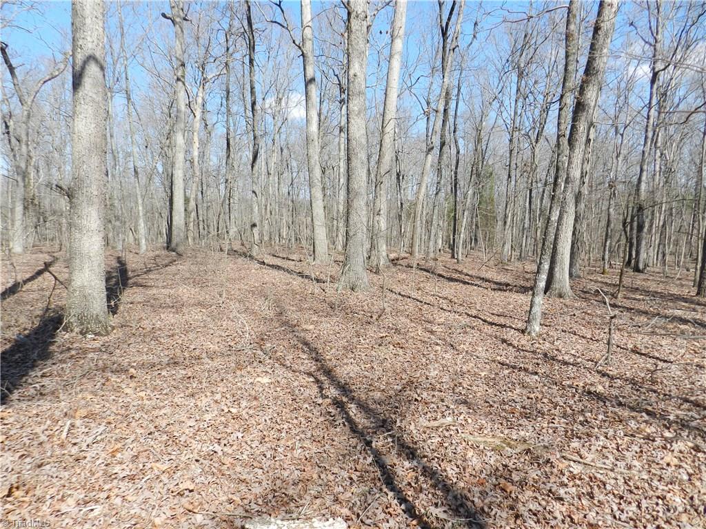 0 Regan Road Lexington, NC 27292 - Photo 13 of 16 Gallery Image 13