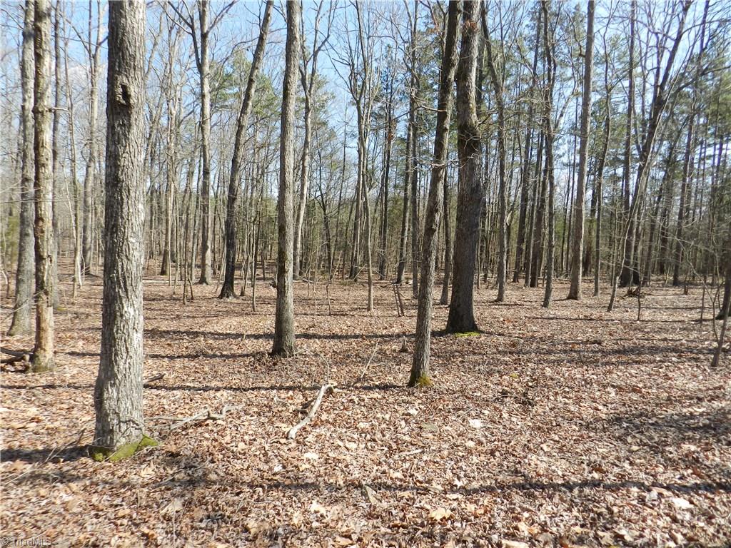 0 Regan Road Lexington, NC 27292 - Photo 15 of 16 Gallery Image 15