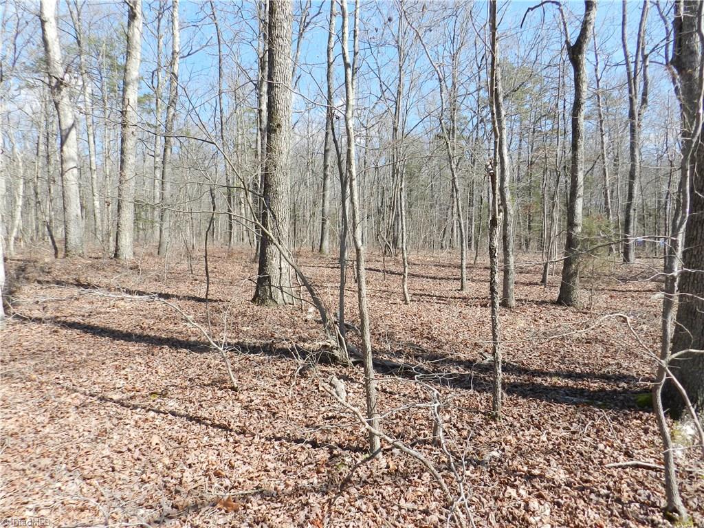 0 Regan Road Lexington, NC 27292 - Photo 4 of 16 Gallery Image 4