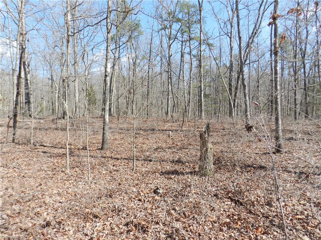 0 Regan Road Lexington, NC 27292 - Photo 5 of 16 Gallery Image 5