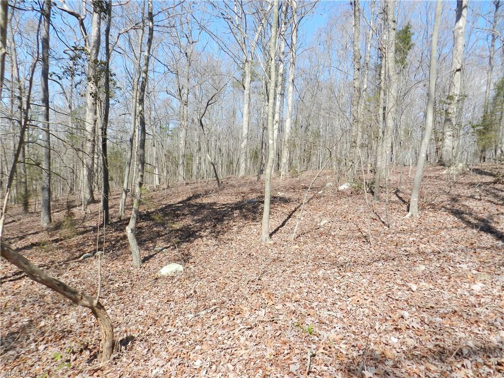 0 Regan Road Lexington, NC 27292 - Photo 7 of 16 Gallery Image 7